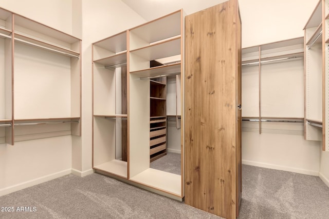 walk in closet featuring carpet