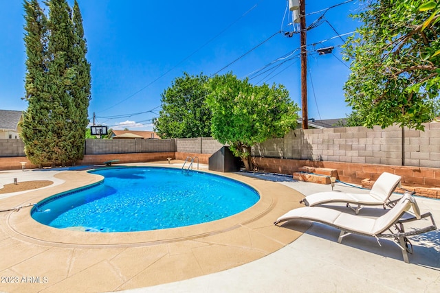 view of swimming pool featuring a fenced backyard and a patio