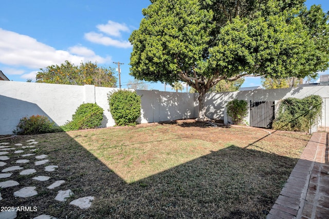 view of yard with a fenced backyard