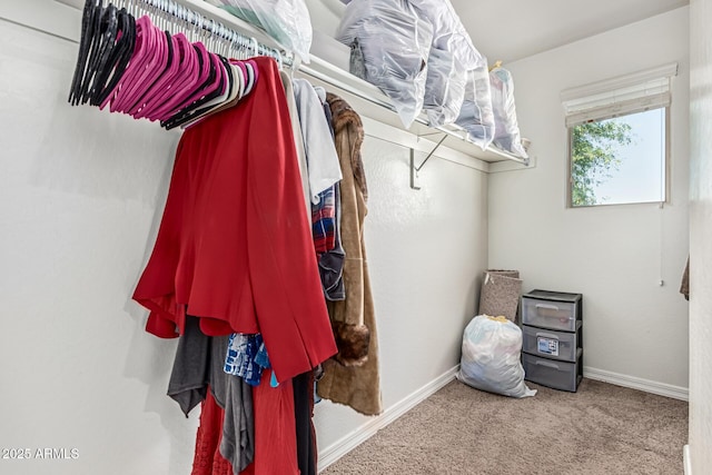 7090 S 252nd Dr, Buckeye, AZ 85326 - walk in closet with carpet flooring