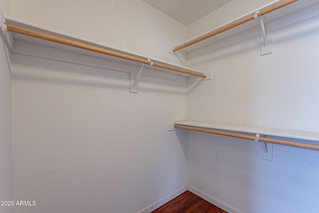 spacious closet featuring dark hardwood / wood-style flooring