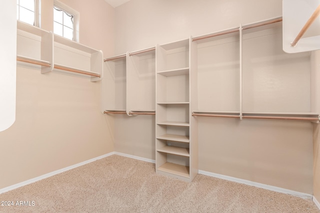 spacious closet with carpet flooring