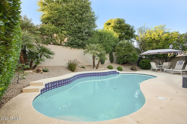 14430 N Agave Dr, Fountain Hills, AZ 85268 - view of swimming pool with a patio