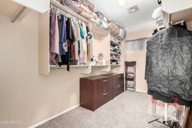 spacious closet featuring carpet