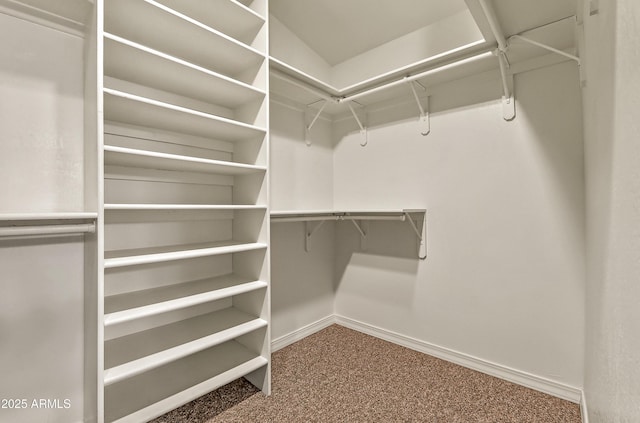 spacious closet with carpet