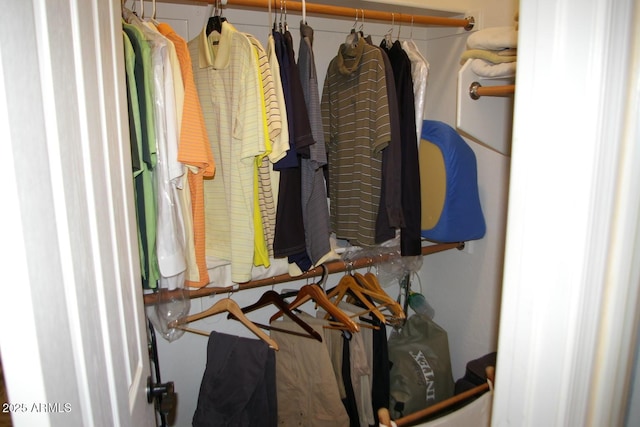 view of closet