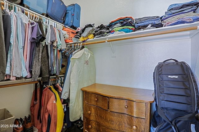 view of walk in closet