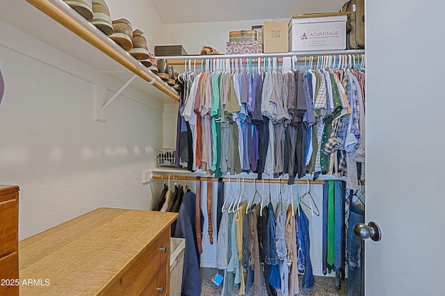 view of walk in closet