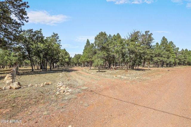 view of yard featuring a rural view