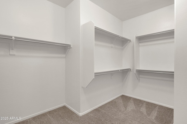 spacious closet with carpet flooring