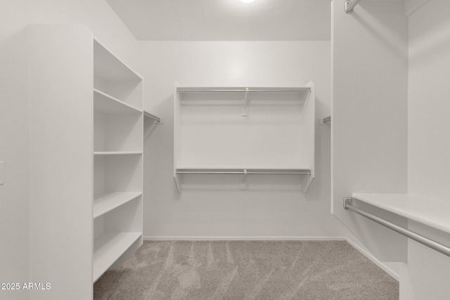 walk in closet featuring carpet