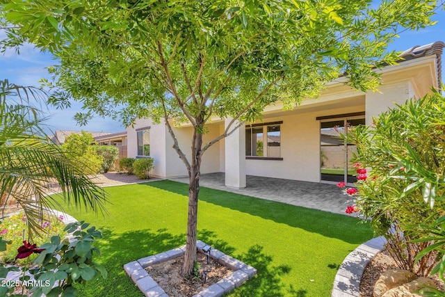 back of house with a patio, a yard, and stucco siding