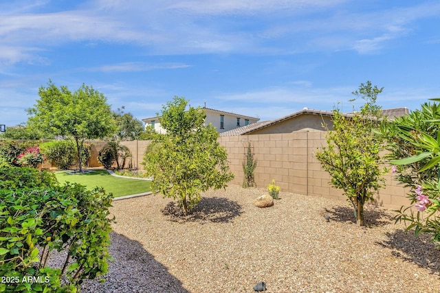 view of yard featuring a fenced backyard