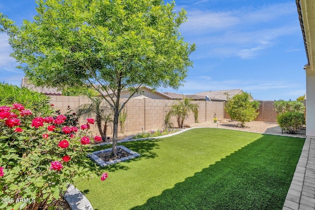 view of yard with a fenced backyard