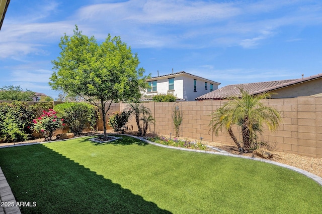 view of yard featuring a fenced backyard