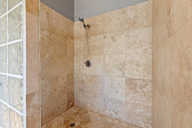 16246 E Gamble Ln, Scottsdale, AZ 85262 - bathroom with a tile shower