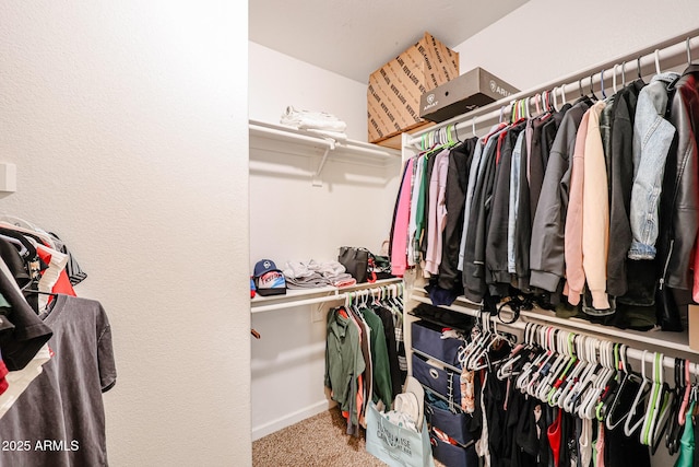 6640 W Honeysuckle Dr, Phoenix, AZ 85083 - walk in closet with carpet flooring