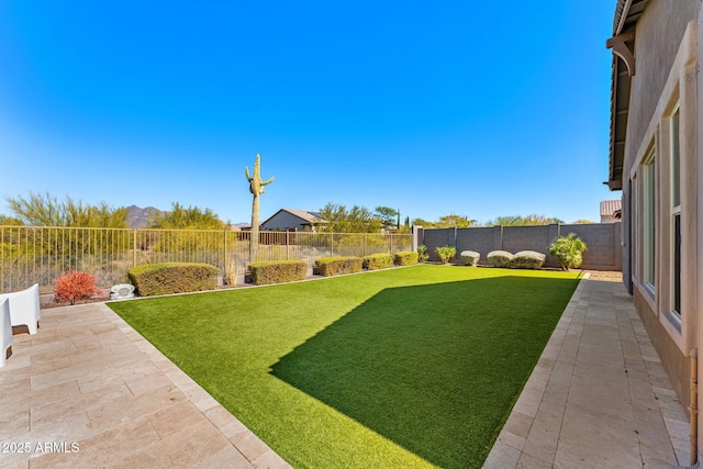 view of yard featuring a patio and a fenced backyard