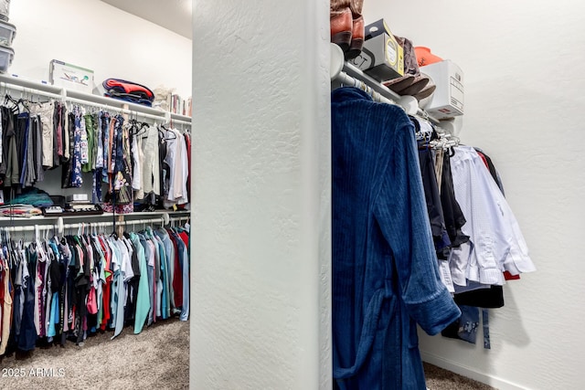 800 W Sycamore Ct, Litchfield Park, AZ 85340 - walk in closet with carpet floors