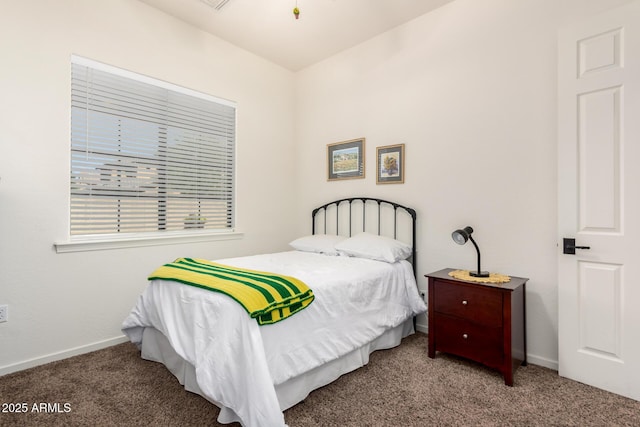 800 W Sycamore Ct, Litchfield Park, AZ 85340 - bedroom with baseboards and carpet flooring