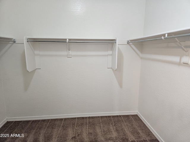 spacious closet with dark colored carpet