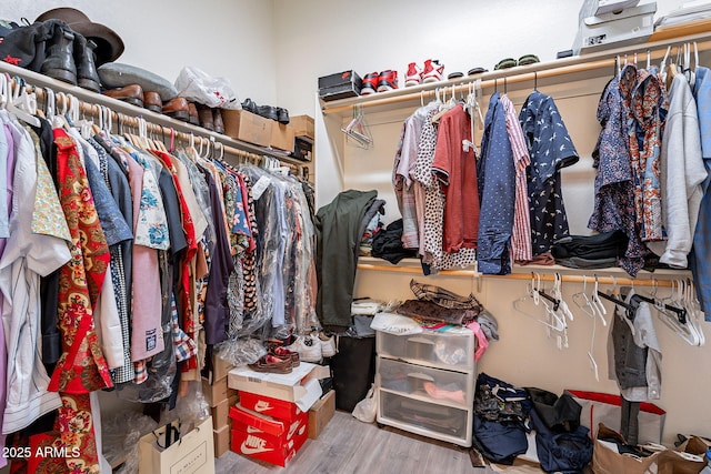 walk in closet featuring wood finished floors
