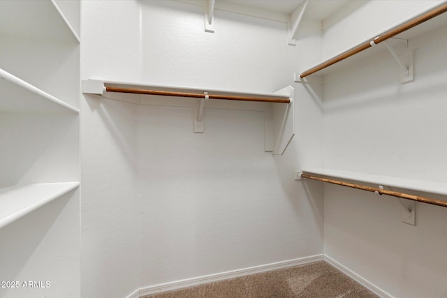 11193 N 121st Way, Scottsdale, AZ 85259 - walk in closet featuring carpet flooring