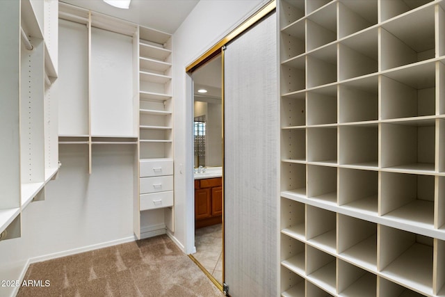 11193 N 121st Way, Scottsdale, AZ 85259 - walk in closet with carpet and a sink