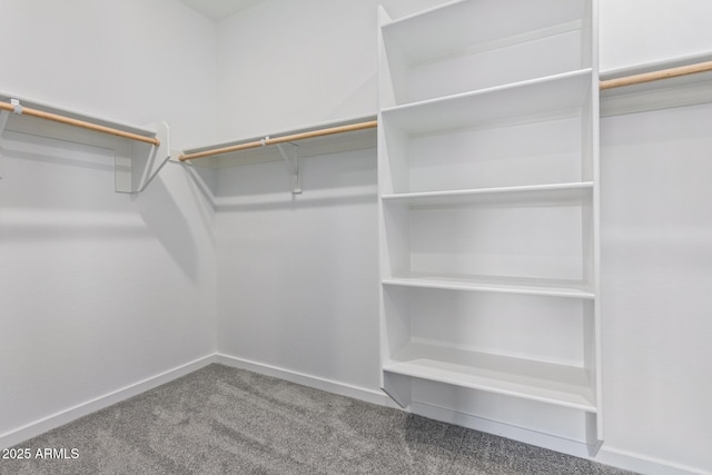 walk in closet featuring carpet