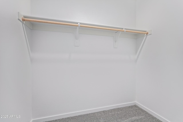 walk in closet featuring carpet flooring