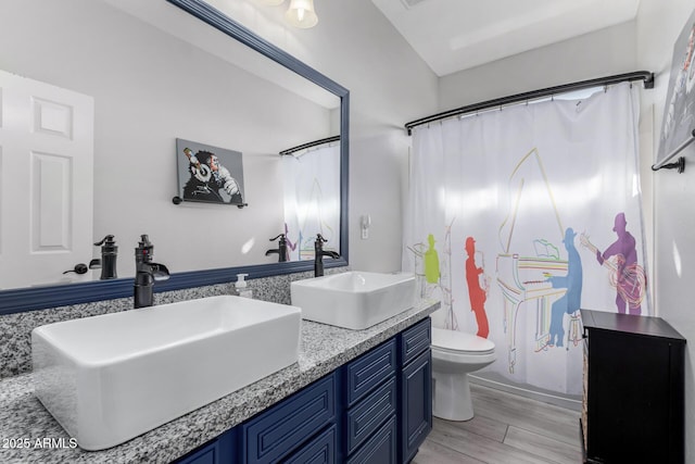 full bath featuring wood finished floors, a sink, toilet, and double vanity