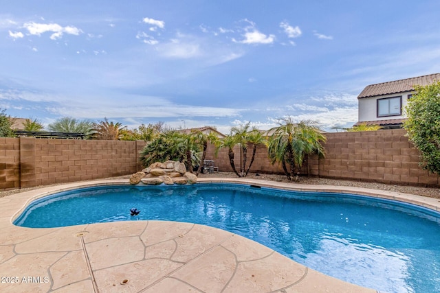 view of pool with a patio area, a fenced backyard, and a fenced in pool