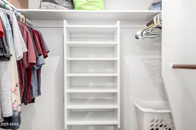 view of walk in closet