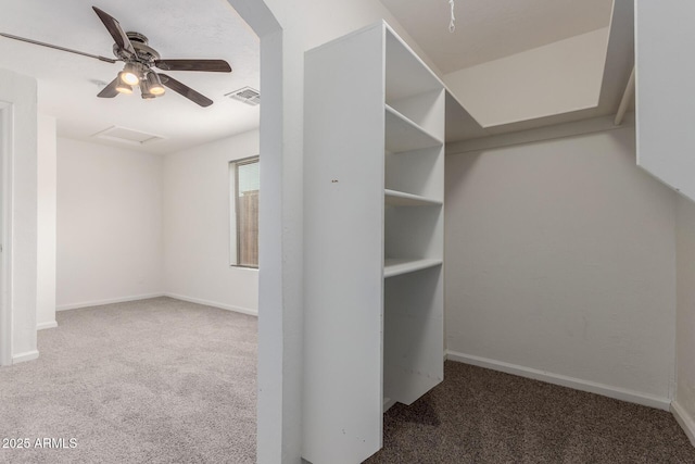 interior space with carpet floors