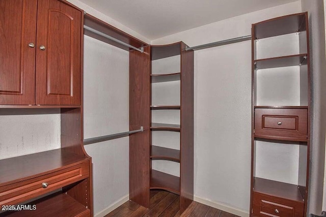 walk in closet featuring dark wood-type flooring