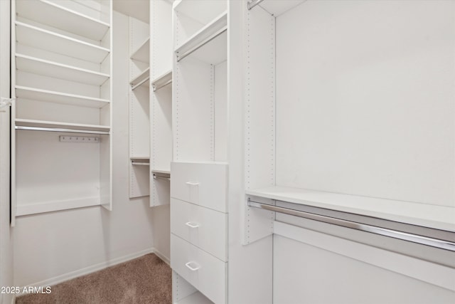 walk in closet with light carpet