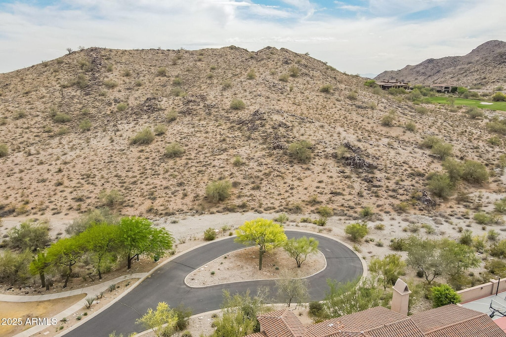 3545 N Vista Way Unit 404, Buckeye, AZ 85396 - view of mountain background featuring a desert landscape