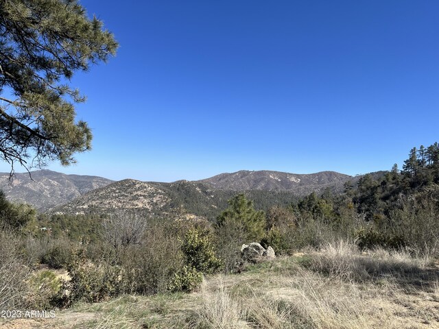 23061 S Towers Mountain Rd -, Unit Crown King, AZ 86343