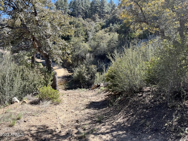 23061 S Towers Mountain Rd -, Unit Crown King, AZ 86343