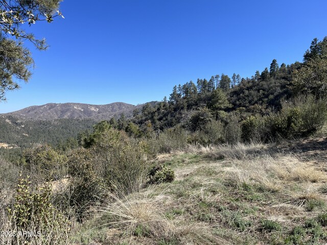 23061 S Towers Mountain Rd -, Unit Crown King, AZ 86343
