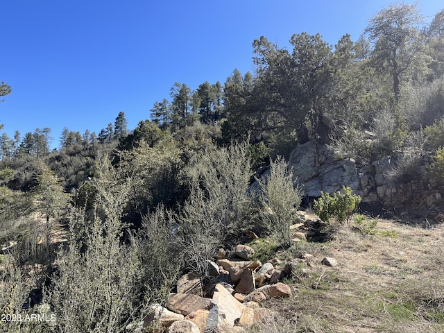 23061 S Towers Mountain Rd -, Unit Crown King, AZ 86343