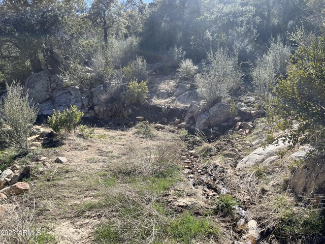 23061 S Towers Mountain Rd -, Unit Crown King, AZ 86343