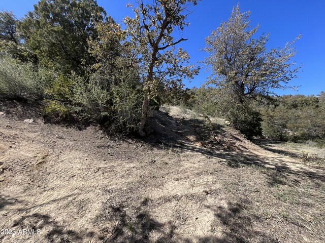 23061 S Towers Mountain Rd -, Unit Crown King, AZ 86343