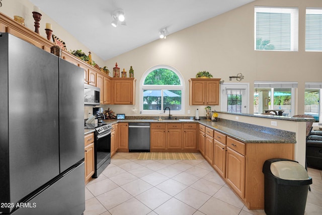 1292 N Renee Ave, Gilbert, AZ 85234 - kitchen featuring stainless steel appliances, a peninsula, high vaulted ceiling, light tile patterned floors, and a sink
