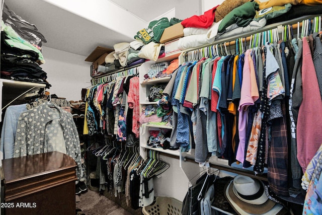 1292 N Renee Ave, Gilbert, AZ 85234 - view of spacious closet