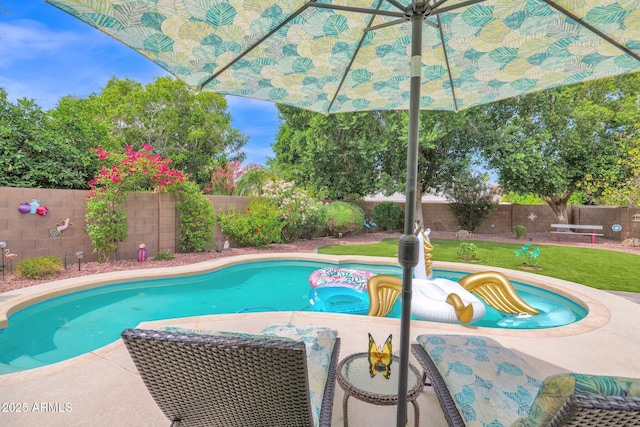 1292 N Renee Ave, Gilbert, AZ 85234 - view of pool featuring a fenced backyard and a patio area