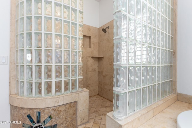 9845 E Inglewood St, Mesa, AZ 85207 - full bath featuring a walk in shower
