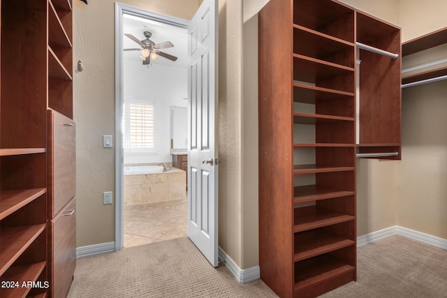 9845 E Inglewood St, Mesa, AZ 85207 - walk in closet with carpet and a ceiling fan