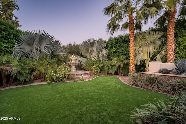 view of yard at dusk