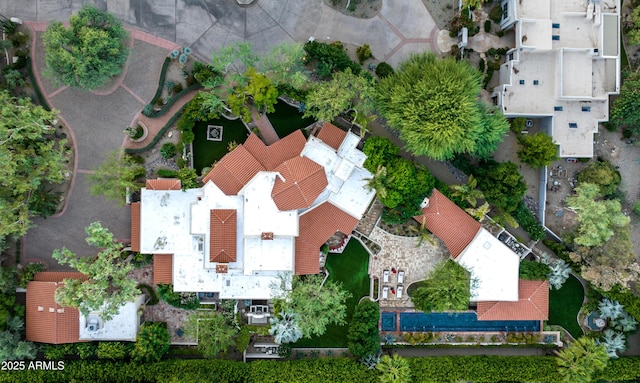 bird's eye view